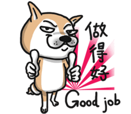 Shiba dog PanPan's normal life  3 sticker #8243413