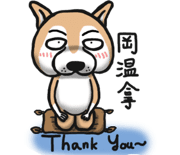 Shiba dog PanPan's normal life  3 sticker #8243414