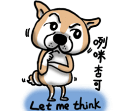Shiba dog PanPan's normal life  3 sticker #8243415