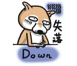 Shiba dog PanPan's normal life  3 sticker #8243417