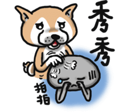 Shiba dog PanPan's normal life  3 sticker #8243418