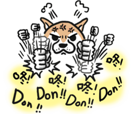 Shiba dog PanPan's normal life  3 sticker #8243421