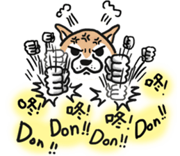Shiba dog PanPan's normal life  3 sticker #8243421