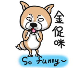 Shiba dog PanPan's normal life  3 sticker #8243423