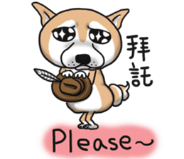 Shiba dog PanPan's normal life  3 sticker #8243424