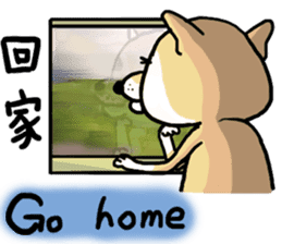 Shiba dog PanPan's normal life  3 sticker #8243427