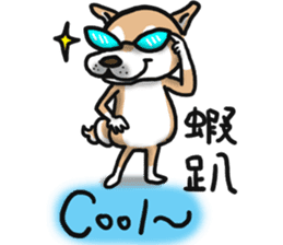 Shiba dog PanPan's normal life  3 sticker #8243432