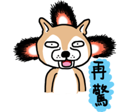 Shiba dog PanPan's normal life  3 sticker #8243435