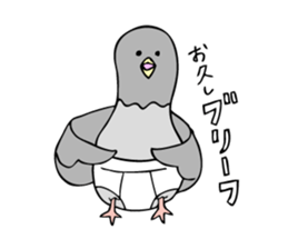 Pigeon John 2 sticker #8245796