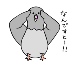 Pigeon John 2 sticker #8245805