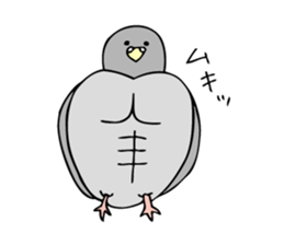 Pigeon John 2 sticker #8245810