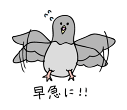 Pigeon John 2 sticker #8245826