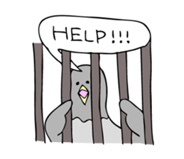 Pigeon John 2 sticker #8245834