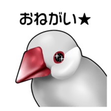 Rial Java sparrow sticker sticker #8251004