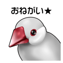 Rial Java sparrow sticker sticker #8251004