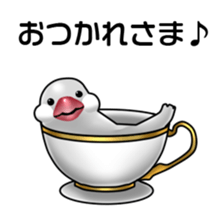 Rial Java sparrow sticker sticker #8251021