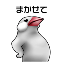 Rial Java sparrow sticker sticker #8251023