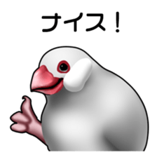 Rial Java sparrow sticker sticker #8251033