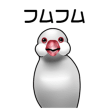 Rial Java sparrow sticker sticker #8251034