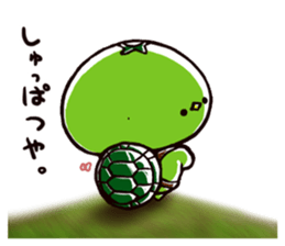 kappacco sticker #8253062