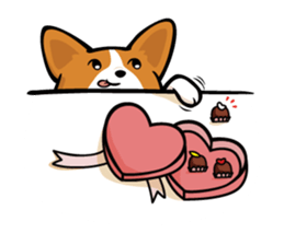 Corgi Dog KaKa - Cutie sticker #8253477