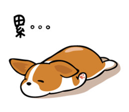 Corgi Dog KaKa - Cutie sticker #8253481