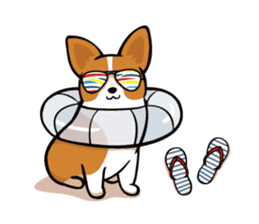 Corgi Dog KaKa - Cutie sticker #8253496