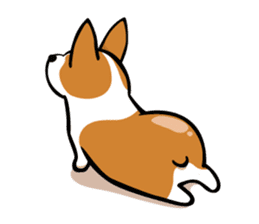 Corgi Dog KaKa - Cutie sticker #8253498