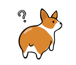 Corgi Dog KaKa - Cutie sticker #8253502