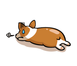 Corgi Dog KaKa - Cutie sticker #8253511