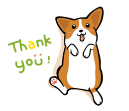 Corgi Dog KaKa - Cutie sticker #8253512
