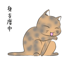 Three of stray cats sticker #8254345