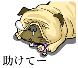 section chief,a small old man sticker #8254833