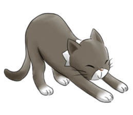 Cat lover! sticker #8257039