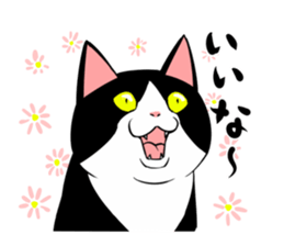 A little fat cat 3 sticker #8260164