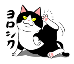 A little fat cat 3 sticker #8260170