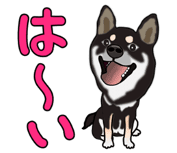 Kuroshibatchi sticker #8260979