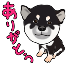 Kuroshibatchi sticker #8260981