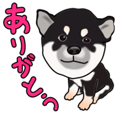 Kuroshibatchi sticker #8260981