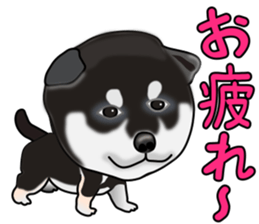 Kuroshibatchi sticker #8260985