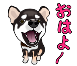 Kuroshibatchi sticker #8260987