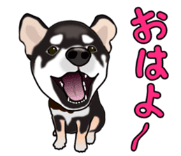 Kuroshibatchi sticker #8260987