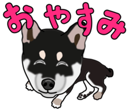 Kuroshibatchi sticker #8260989
