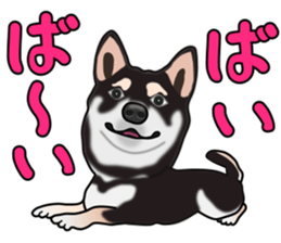 Kuroshibatchi sticker #8260991