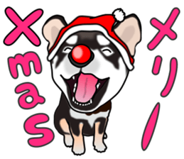 Kuroshibatchi sticker #8260993