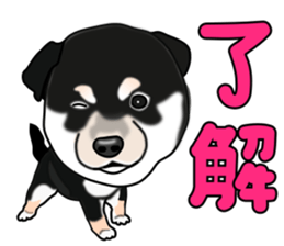 Kuroshibatchi sticker #8260999