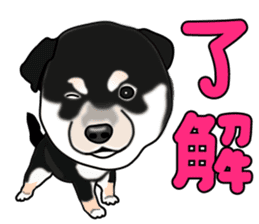 Kuroshibatchi sticker #8260999