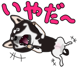 Kuroshibatchi sticker #8261001