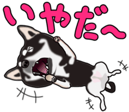 Kuroshibatchi sticker #8261001