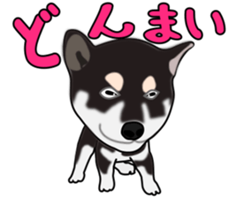 Kuroshibatchi sticker #8261005